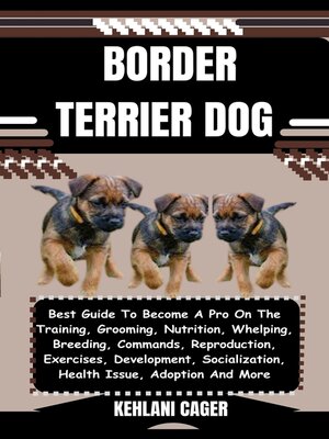 cover image of BORDER TERRIER DOG
